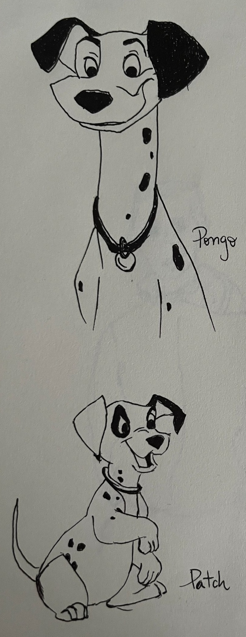 Expressive hand-drawn ink sketches of Dalmatian dogs Pongo and Patch featuring energetic line work.